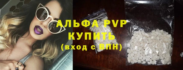гидра Магас
