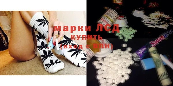 гидра Магас