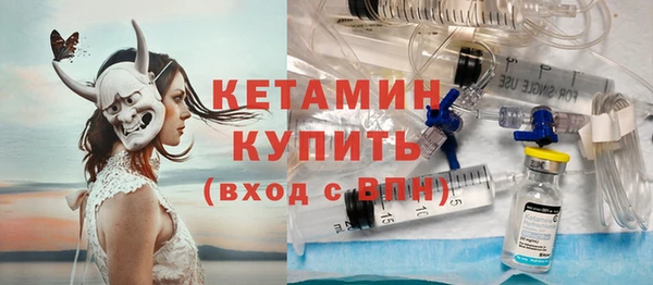 сатива Кострома