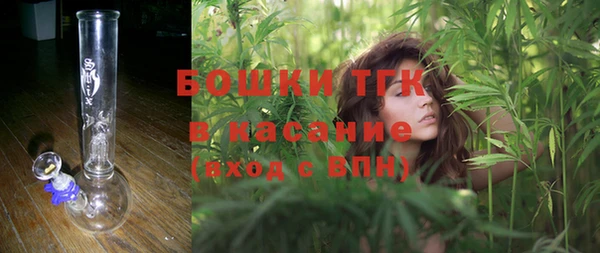 гидра Магас