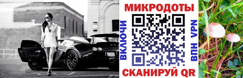 даркнет как зайти  Норильск  Псилоцибиновые грибы Psilocybe 